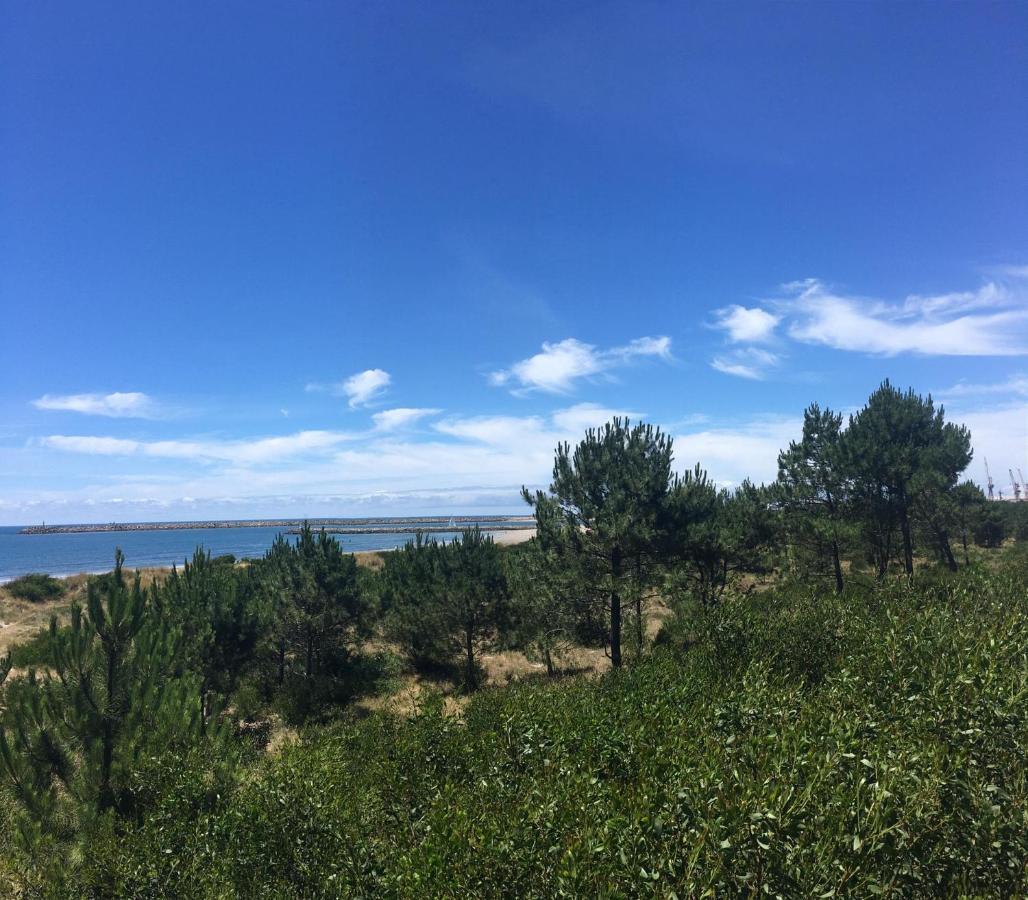 Cabedelo Beach Apartment Viana do Castelo Zewnętrze zdjęcie